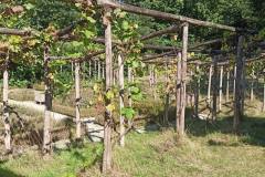 IMG_20250919_122450